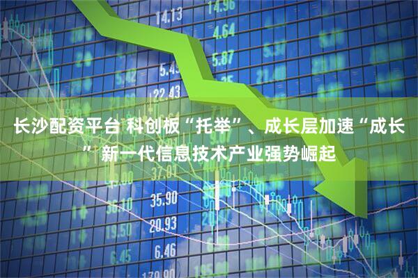 长沙配资平台 科创板“托举”、成长层加速“成长” 新一代信息技术产业强势崛起
