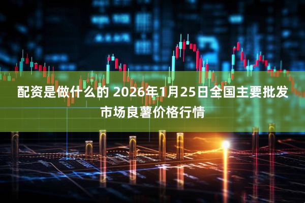 配资是做什么的 2026年1月25日全国主要批发市场良薯价格行情